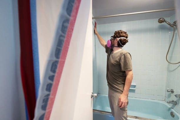 Best Mold Damage Restoration  in Whitg, IN